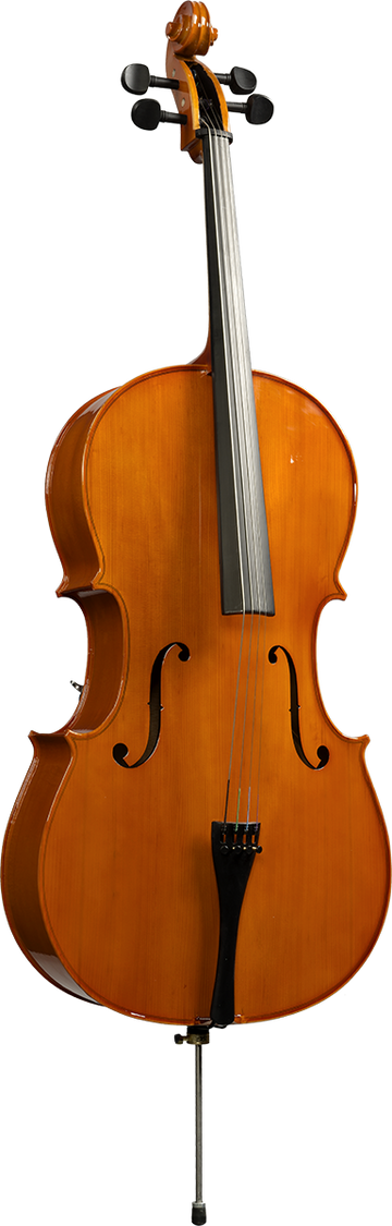 Violoncelle Massif 4/4
