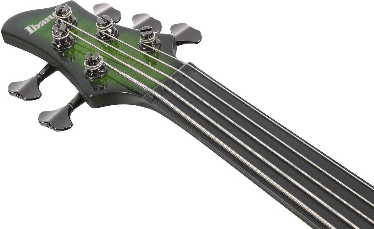 SDGB1-DMT Dark Moss Burst Signature Steve Dirgio