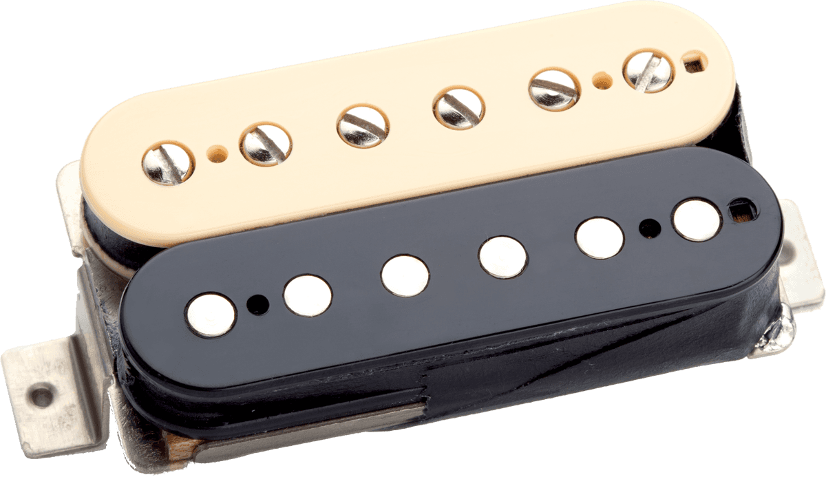 APH-2N Z ZEBRA SLASH ALNICO 2 PRO NECK