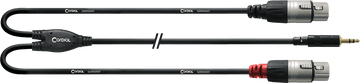 Y-Splitterkabel Minijack Stereo/2 XLR Vrouwelijk 1,8 M