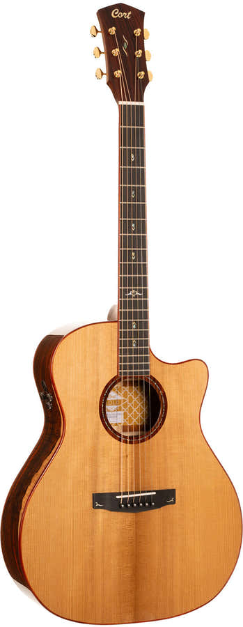 Gold A10 Cocobolo Naturel Brillant
