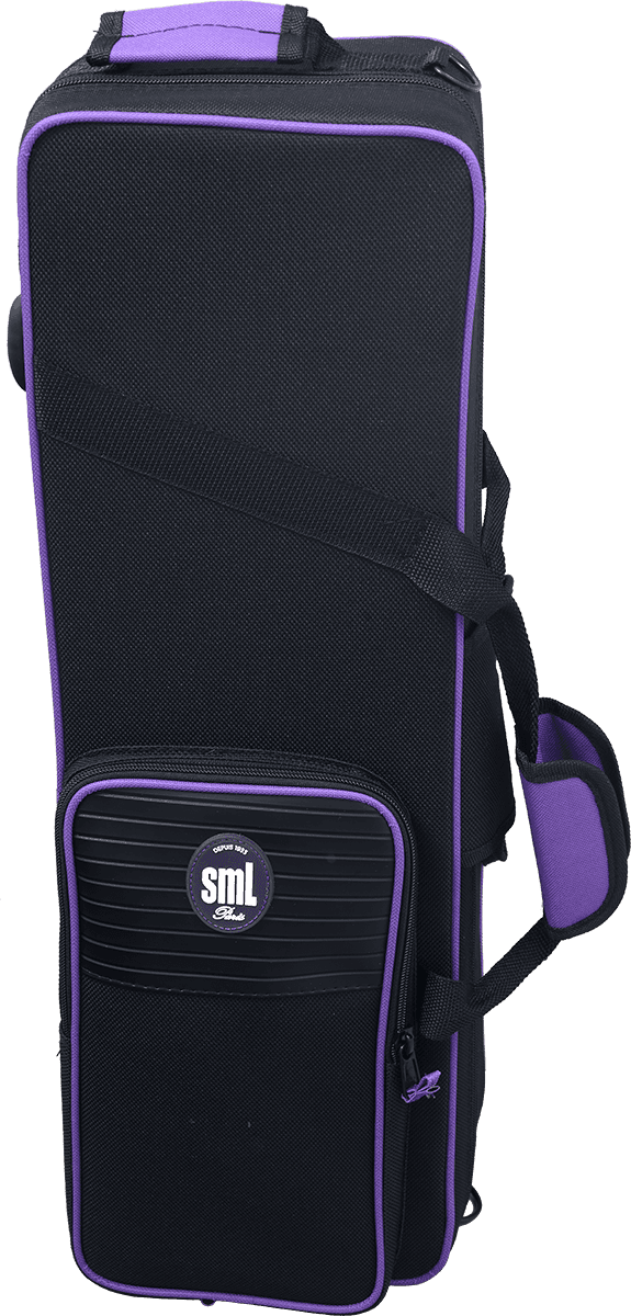 S620II Soprano Sib Verni