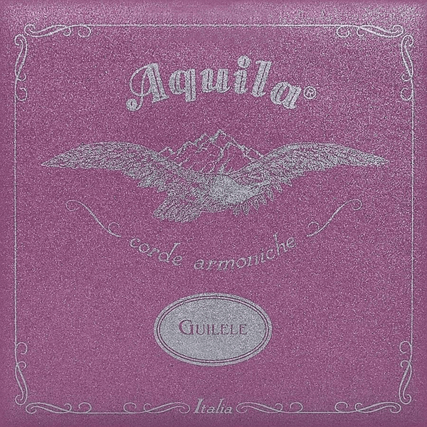 AQUILA STRINGS 96C GUITAR