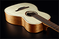 Tramontane T177PE Parlor 12 Cases Électro