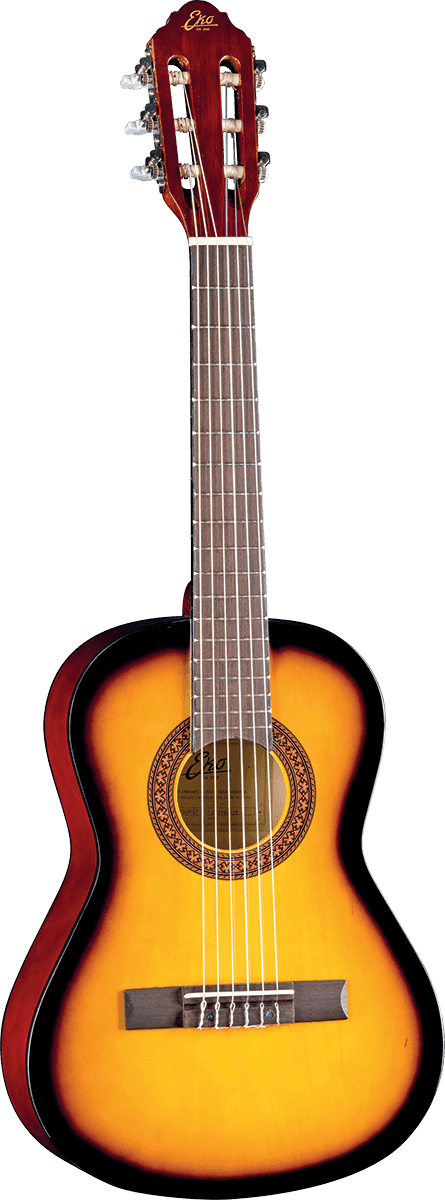 CS-2 1/2 Sunburst + Housse