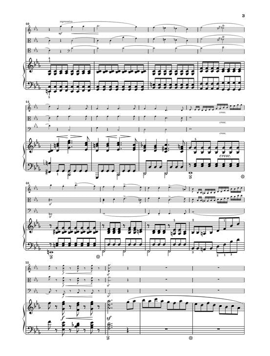 SCHUMANN R. - PIANO QUARTET IN EB MAJOR OP. 47