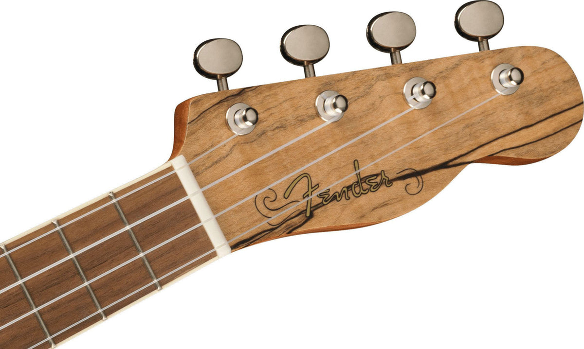 Zuma Uke Exotisch Concert Wn Spalted Maple