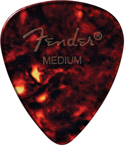 451 SHAPE SHELL MEDIUM (12)