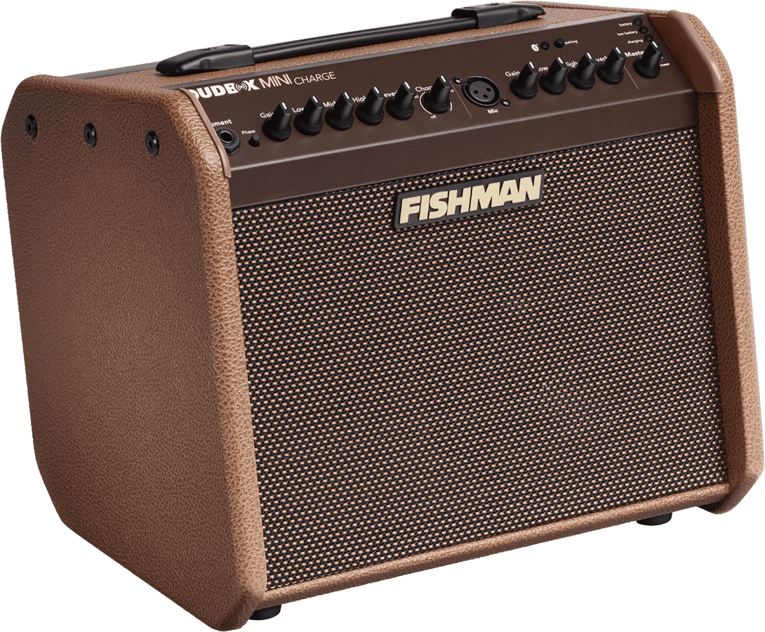 Loudbox Mini Charge 60 Watts