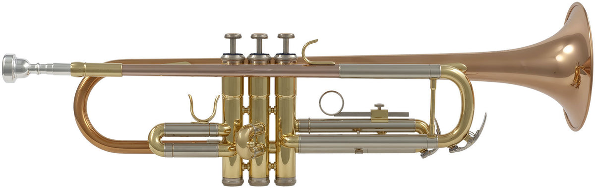 WTP400 - Si b Verni (pavillon Cuivre Rose)