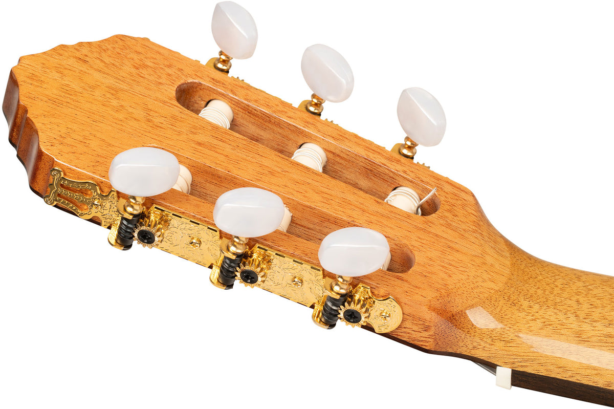 Traditional 4/4 + Pro-gigbag