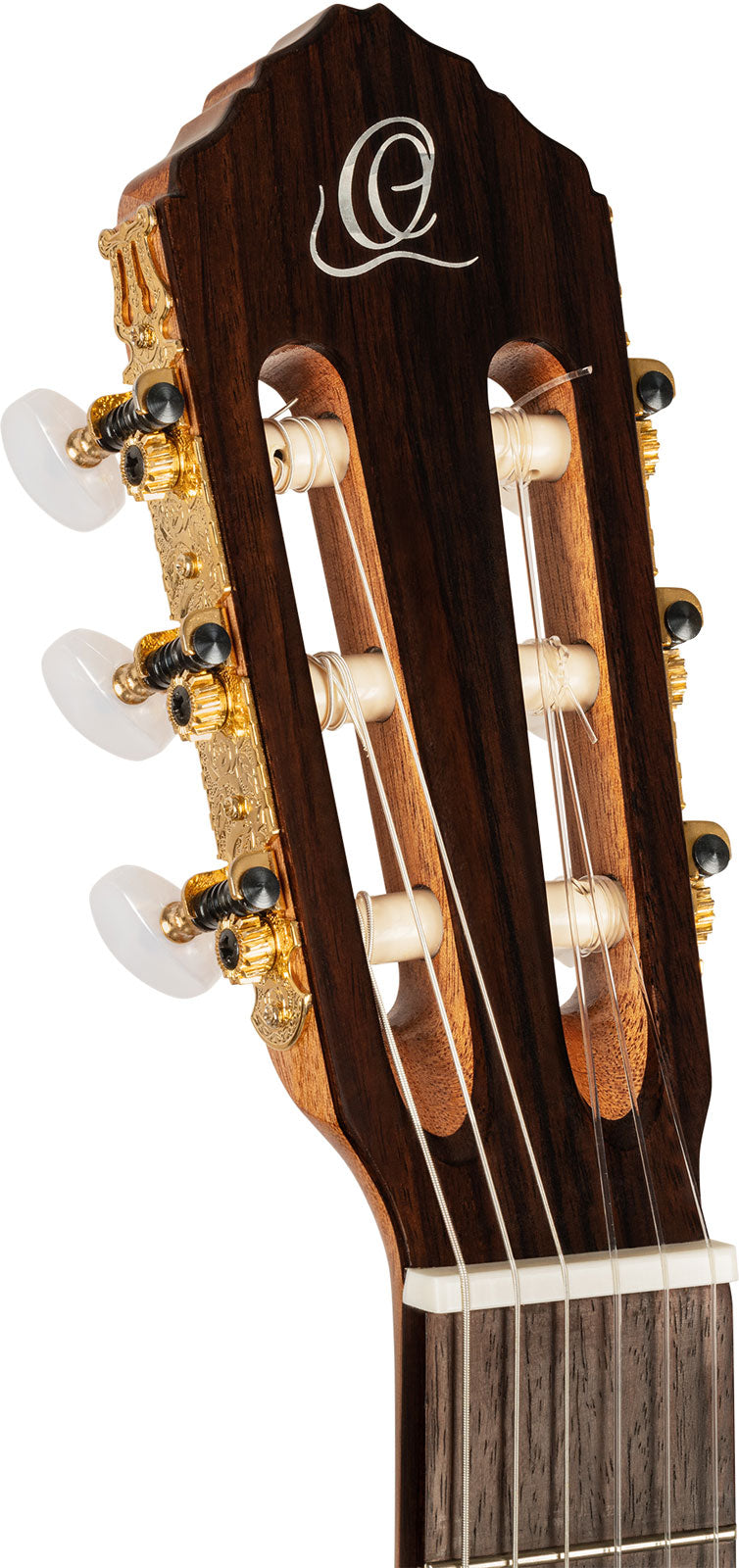 Traditional 4/4 + Pro Gig Bag