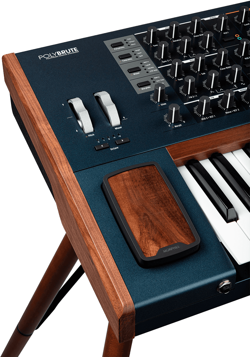 Polybrute