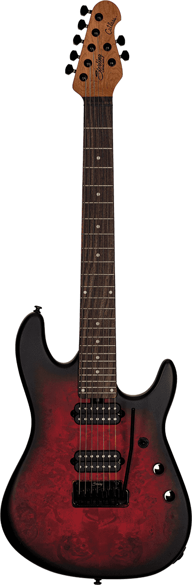 Jason Richardson Dark Scarlet Burst Satin 7 Strings