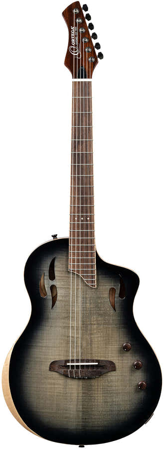 TourPlayer 4/4 + Pro Gig Bag