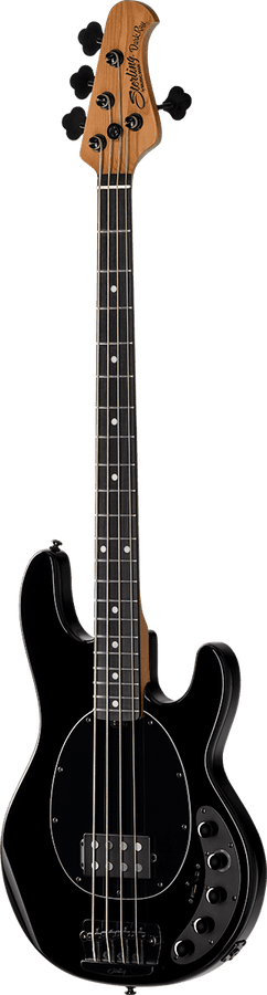 Dark Ray Stingray Met Darkglass-elektronica