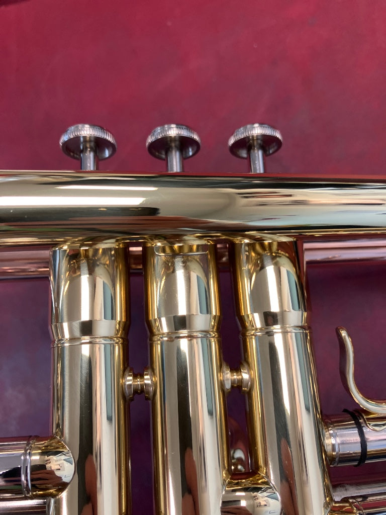 TP300 BB TRUMPET BRASS LACQUERED - ROSE BRASS LEADPIPE - B Stock