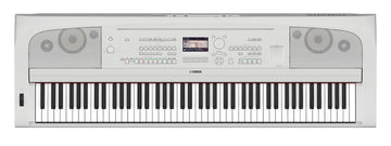 DGX-670 wit