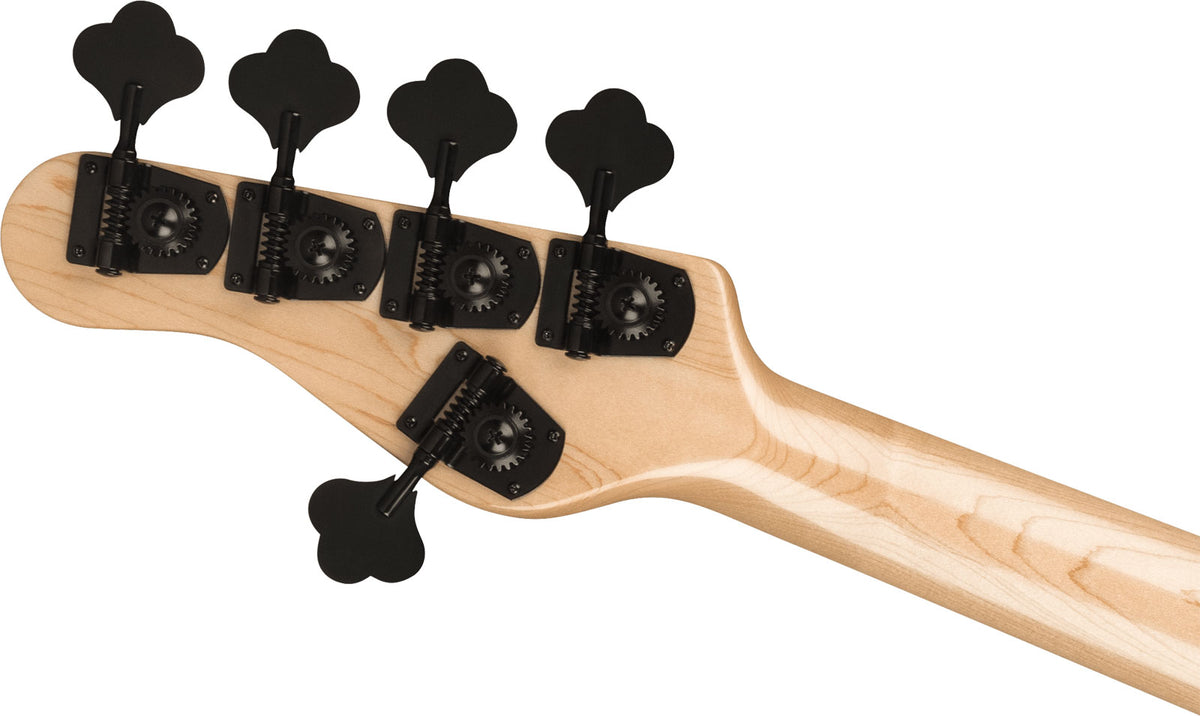 Pro Concert Bass Signature Gladys Adam Blackstone Mn