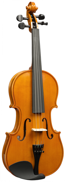 Violon Massif 1/8