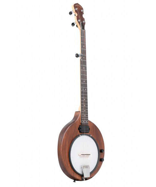 EB-5 Electric Banjo 5-str+bag