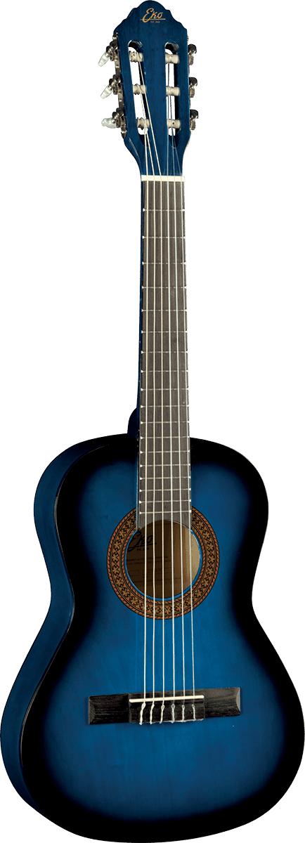 CS-2 1/2 Blue Burst + Housse