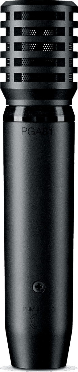 PGA81