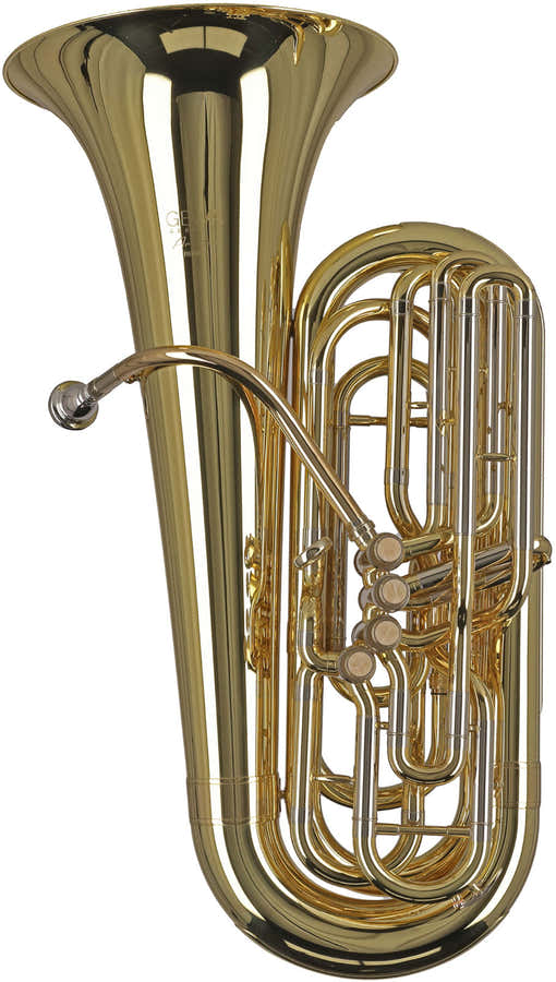Ambition BB501B Contrebasse Sib Verni