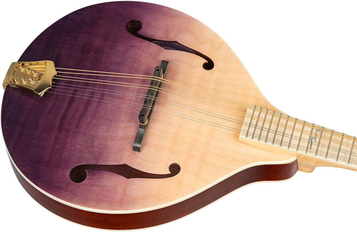 Americana A-Style-mandoline + Croco-leren koffer
