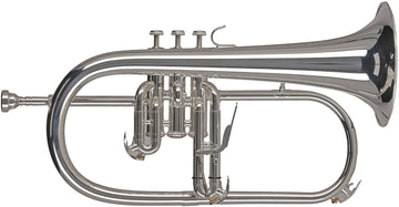 Ambition FH501S Bes Verz ilverd