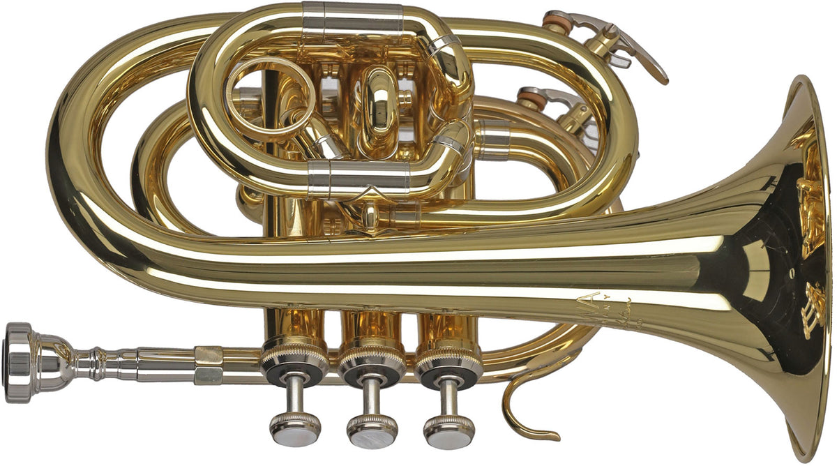 Ambition PT650 Silver Lacquered