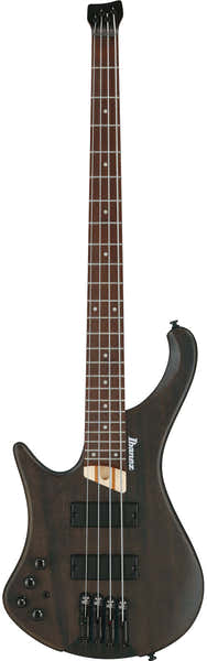 EHB600L Bass Workshop LTD Edition Gaucher Walnut Flat
