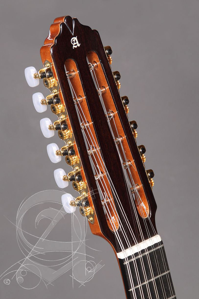 Conservatoire L-6Fc Lutes + 9534 Housse