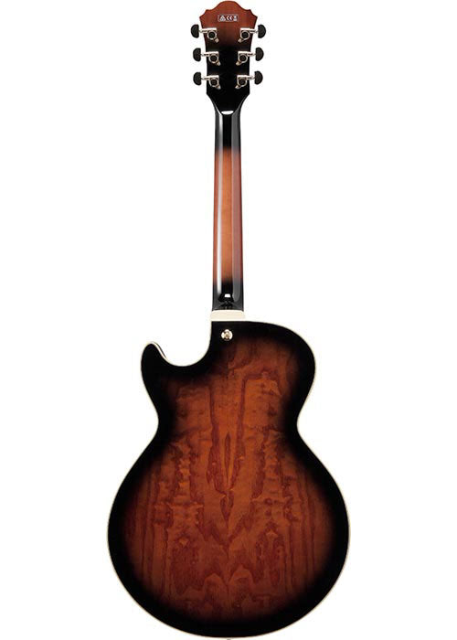 AG95QA-DBS Donkerbruine Sunburst Ag Artcore Expressionist