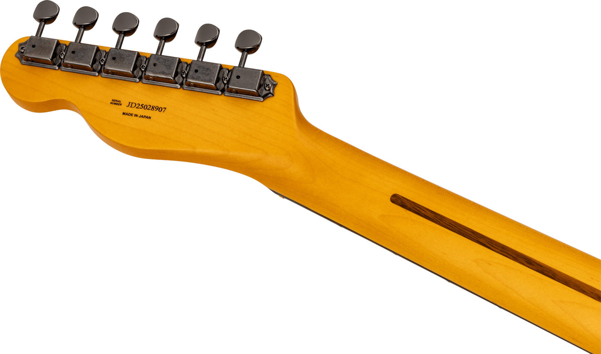 Telecaster SS HYBRID II MIJ RW Matte Phantom Black