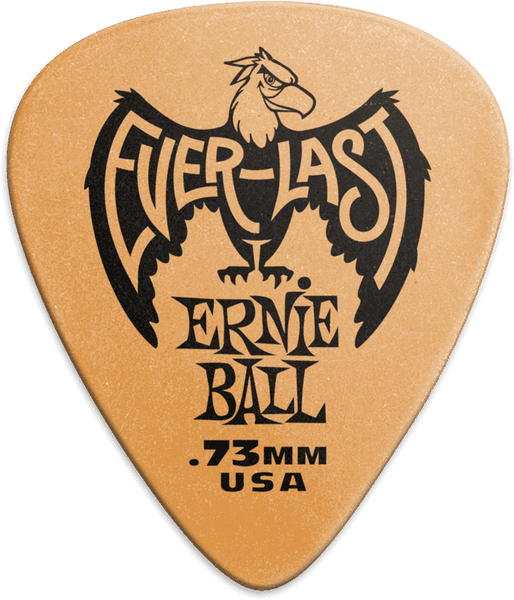 Ernie Ball Médiators Everlast 12 Pack Bleu 0,73Mm