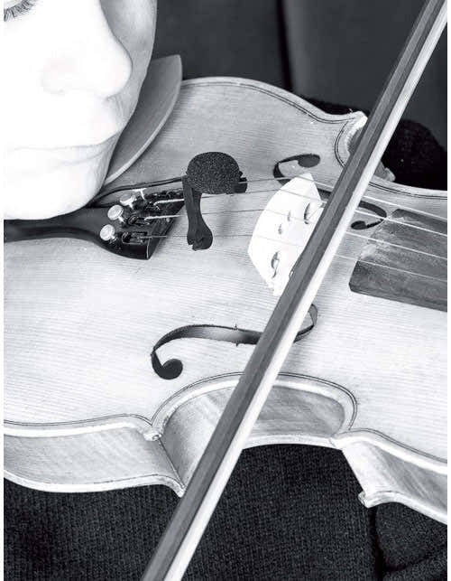 VL21C Lanen Violon - Alto