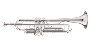 LT180S77 Stradivarius New York #7 - Bes Verzilverde