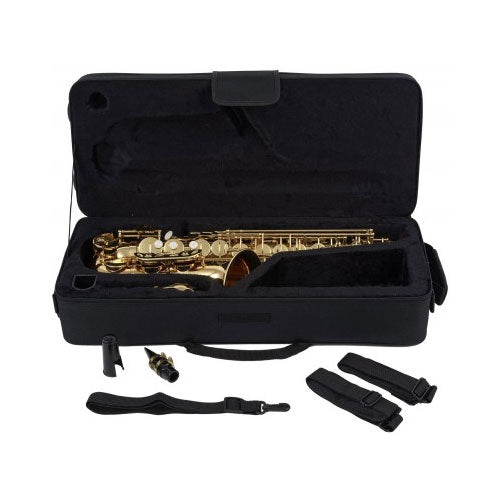 WSA100 - Alto Mib Verni