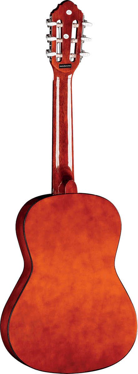 CS-2 1/2 Sunburst + Housse