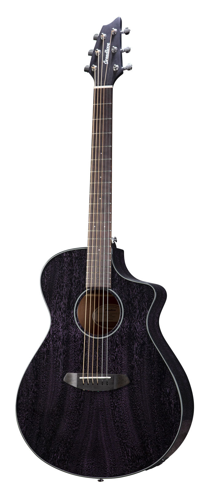 Rainforest S Concert Orchid Ce