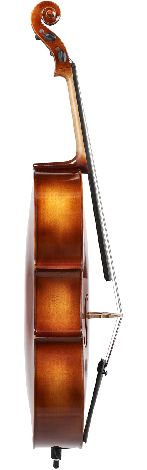 ANNIVERSARY CELLO 1/2 SET UP
