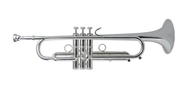 LT190S-1B Stradivarius - Sib Argentée + Pav. Bronze (light)