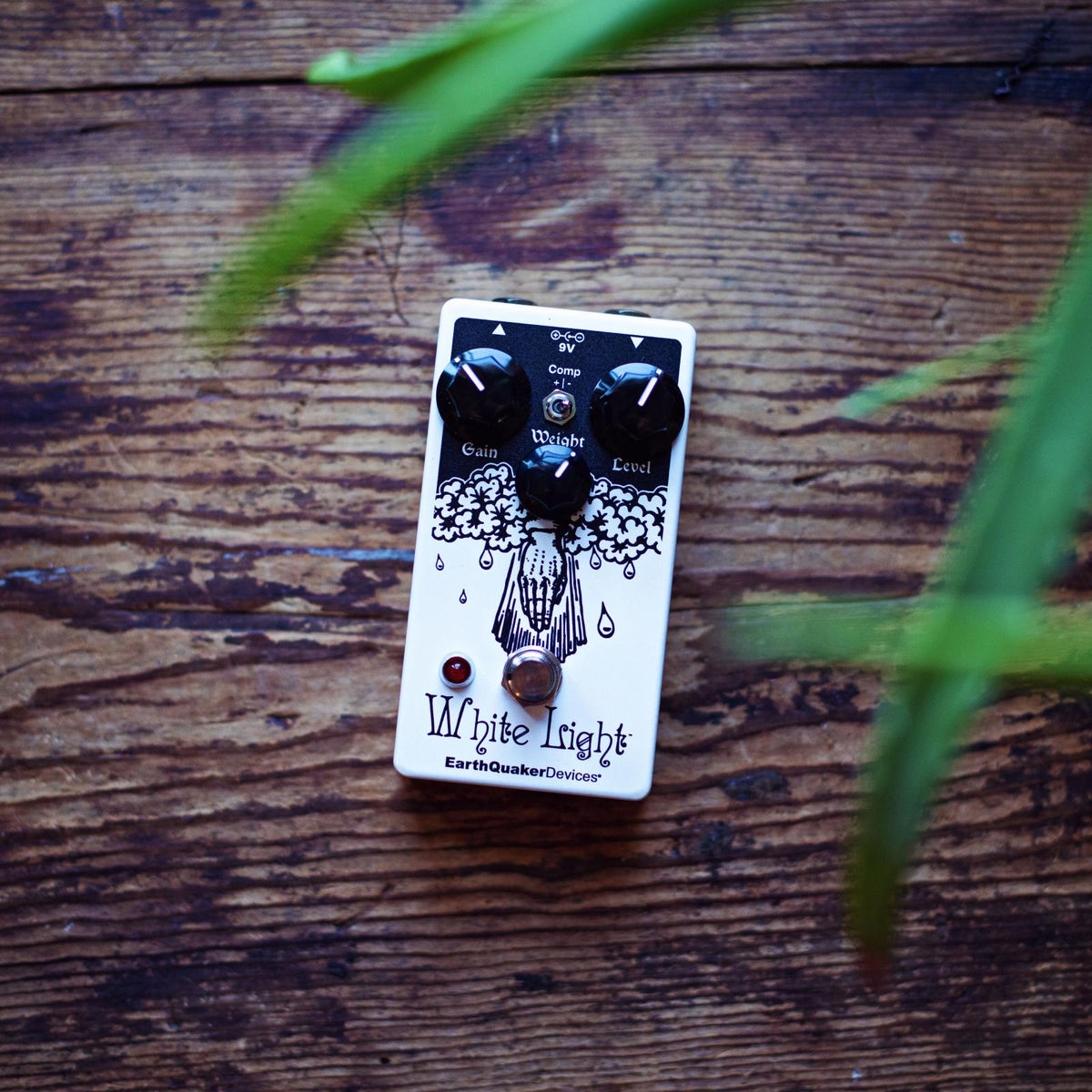 White Light V2 Limited