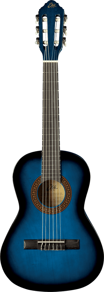 CS-2 1/2 Blue Burst + Housse