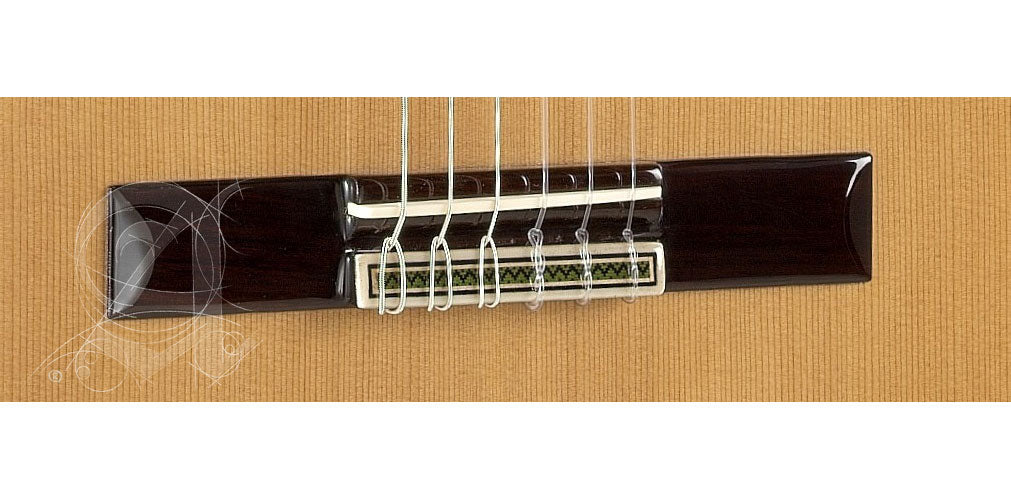 Concert 9P CW E8 + 9557 Etui