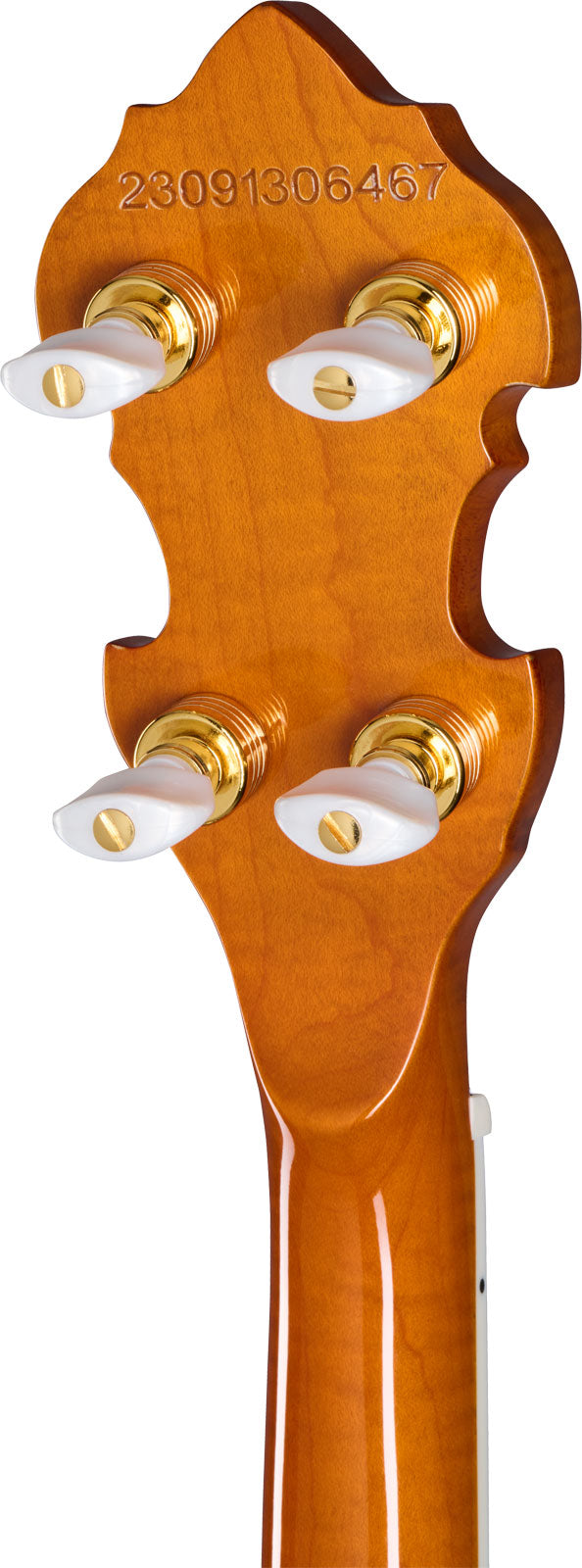 Earl Scruggs Golden Deluxe Banjo Naturel Ibgcs