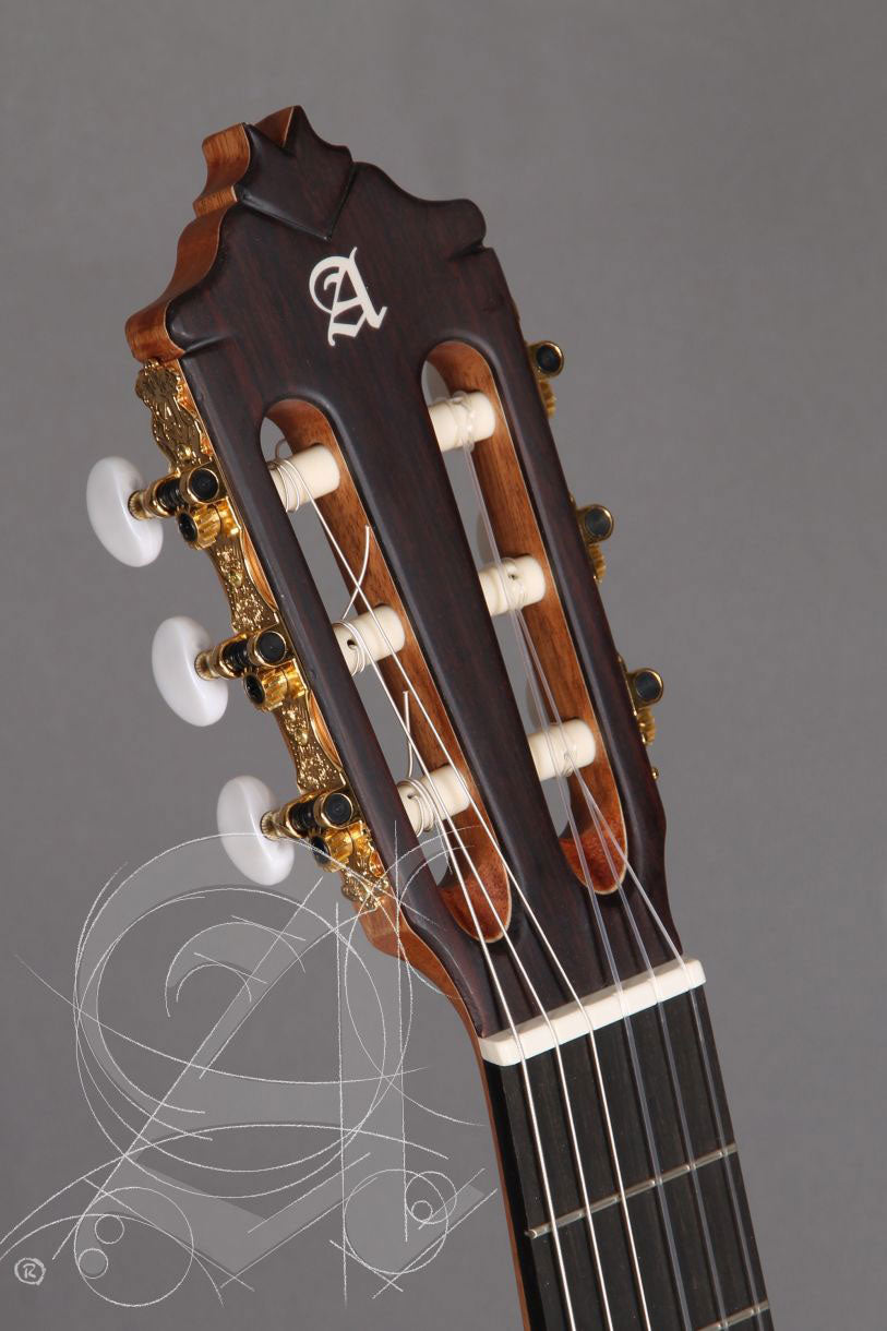 Conservatoire 5FP Op Piñana Flamenco + 9738 25mm Housse