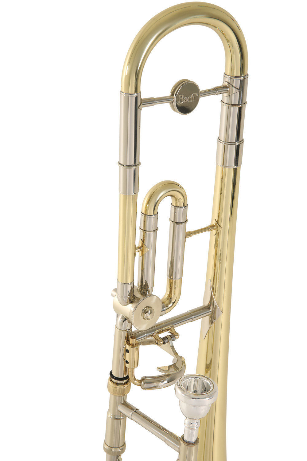 Ambition TB65 Ténor Sib/Do Verni (Enfant)