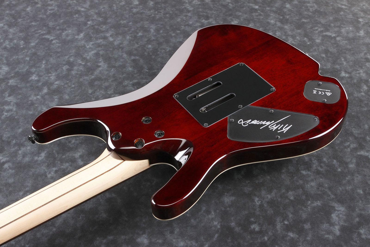 KIKO10BP-TGB Transparant grijs Burst Signature Kiko Loureiro Premium